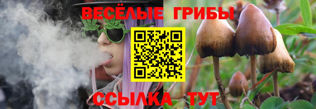 Партизанск  Псилоцибиновые грибы Psilocybe  Вход с VPN 