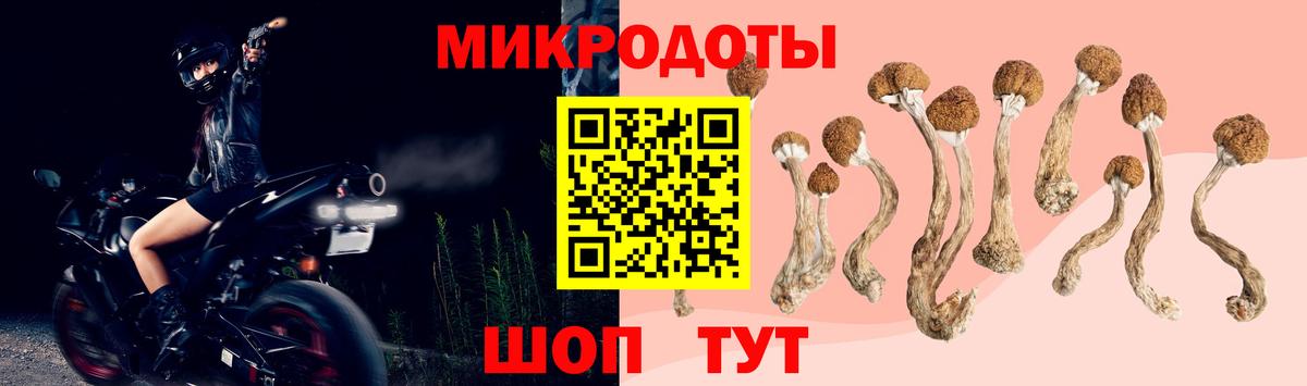 Галлюциногенные грибы мухоморы Партизанск